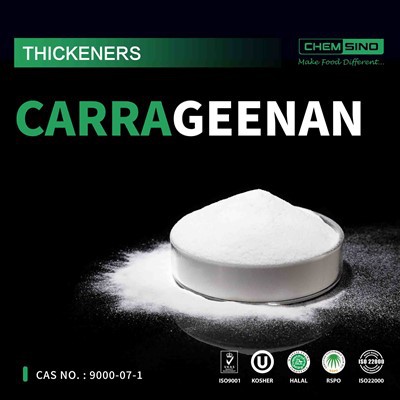 Høst lækker kraft fra havet: Carrageenan tilføjer levende farve til maden! CAS-NR.9000-07-1