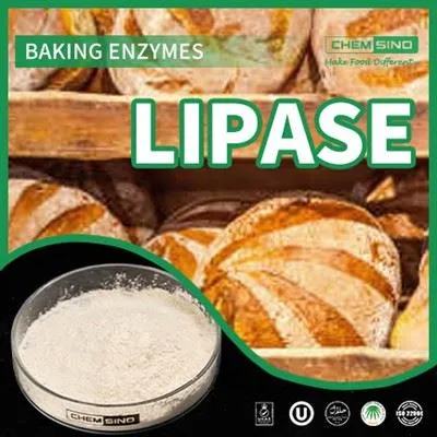 Fordøjelsesharmoni opnået: Lipase Enzyme's Magic Touch CAS-NR.:9001-62-1