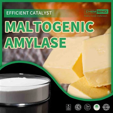The Master Enzyme: Maltogen Amylase For Uovertruffen Smag.CAS NO. 9000-92-4