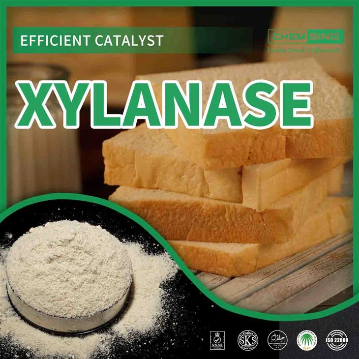 Xylanase Enzyme: Redefinering Efficiency - CAS 9025-57-4 låst op!